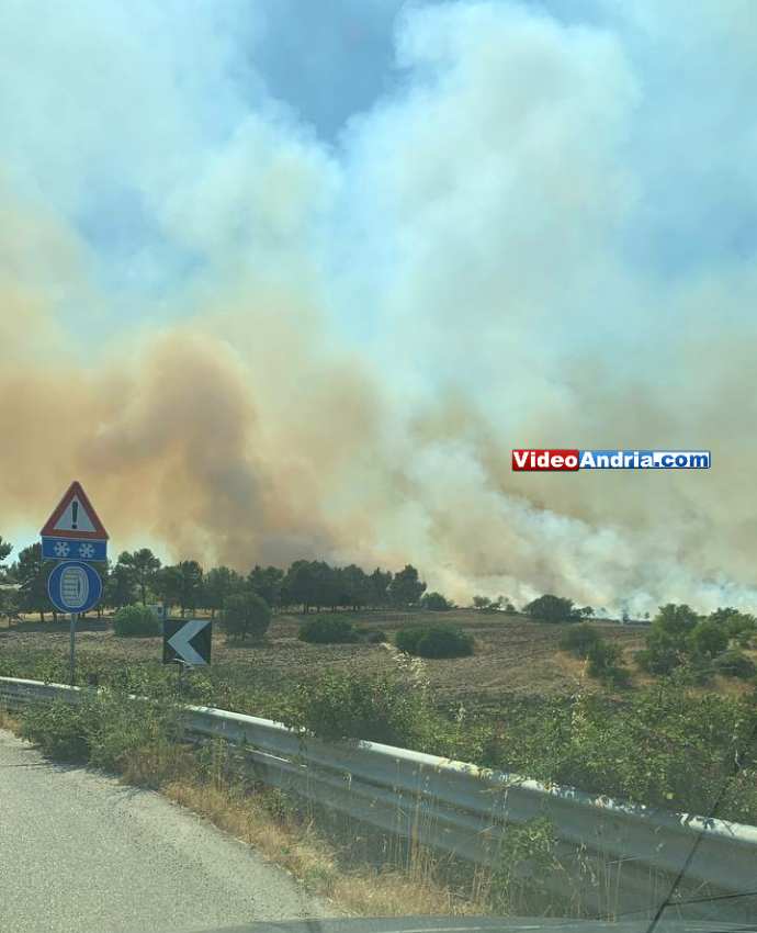 Incendio A Pochi Metri Da Castel Del Monte Intervento Sull Alta Murgia