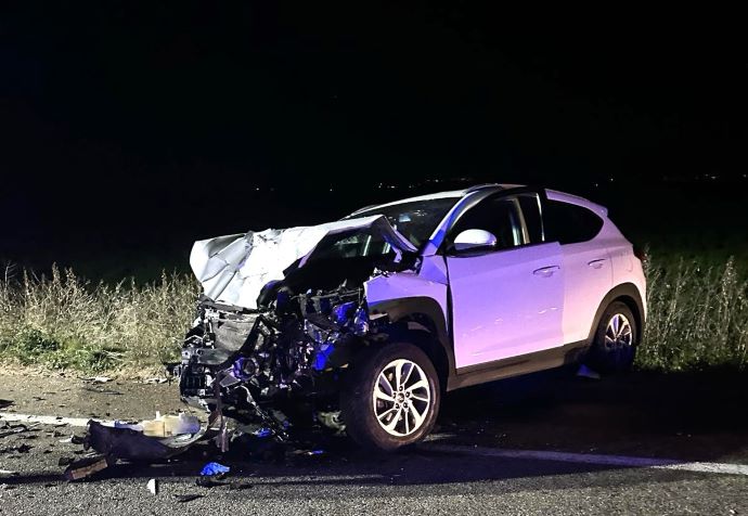 Incidente Mortale Nel Tarantino A Causa Di Cinghiali Cia Puglia La